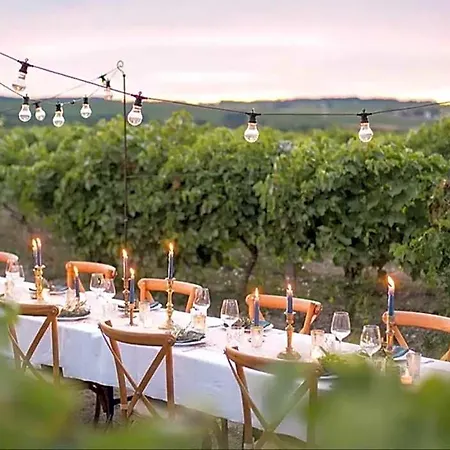 Paradis Des Vignes * Chadenac